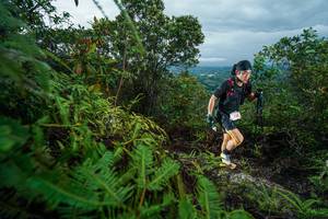 BIB: 
                            <button type="button" onclick="openModal(26196691)" class="btn btn-primary btn-sm float-right btn-popup" data-toggle="modal" data-target=".modal-high-quality">
                        <i class="fas fa-shopping-cart"></i> Add to Cart
                    </button>
                                            <button type="button" onclick="isThisMe(26196691, true)" class="btn btn-success btn-sm float-right btn-popup btn-isme hidden" data-toggle="tooltip" data-placement="bottom" title="นี่คือรูปของคุณใช่ไหม คลิกที่นี่เพื่อเอาเข้าอัลบั้ม">
                        <i class="fas fa-plus"></i> Add to album
                    </button>
                    <button type="button" onclick="isThisMe(26196691, false)" class="btn btn-warning btn-sm float-right btn-popup btn-isnotme hidden">
                        <i class="fas fa-ban"></i> Remove from album
                    </button>